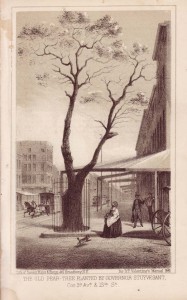 pear-tree-1861